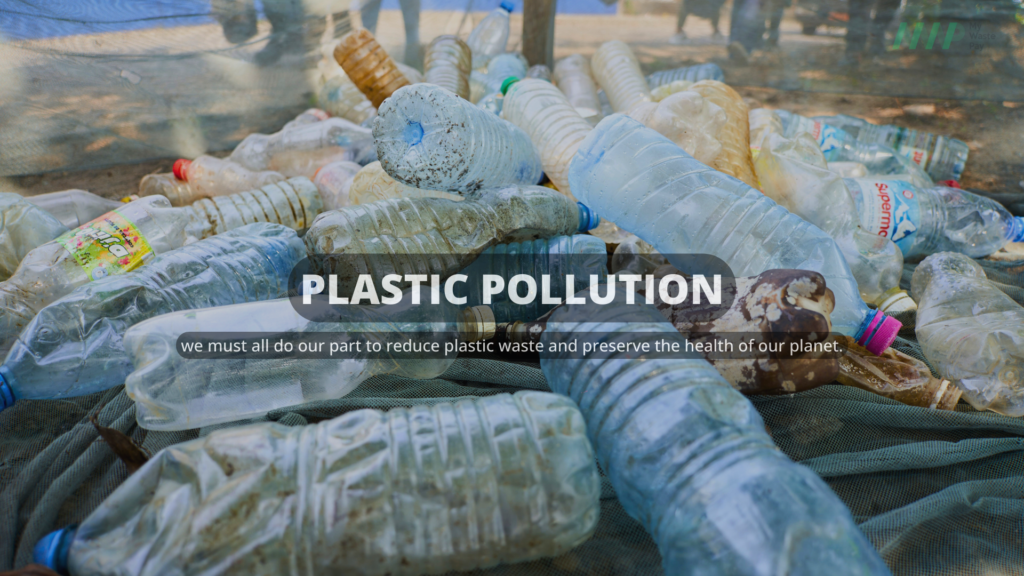 Plastic Pollution