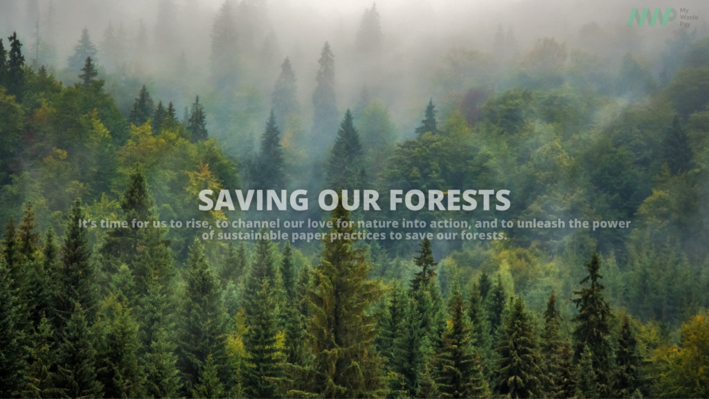 My-Waste-Pay-saving-our-forests-using-sustainable-practices-to-save-our-planet