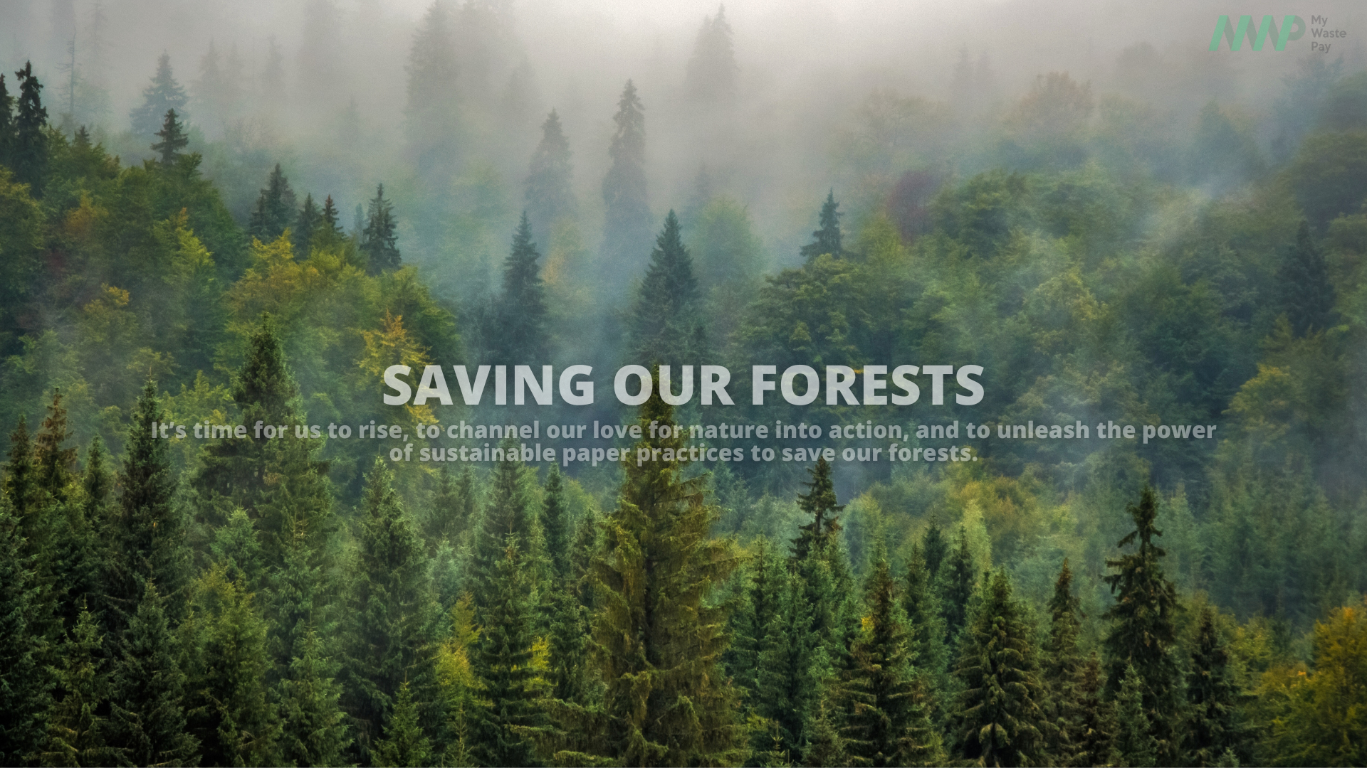 My-Waste-Pay-saving-our-forests-using-sustainable-practices-to-save-our-planet